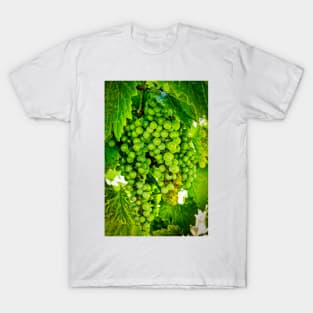 Grapes On Vines T-Shirt